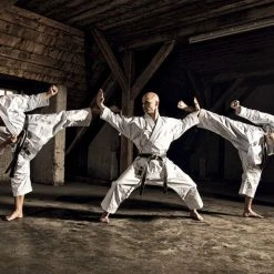 Hayashi WKF Karate-Gi TENNO II - Premium, 0491-1