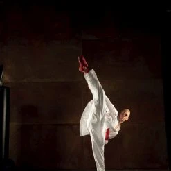 Hayashi WKF Karate-Gi CHAMPION FLEXZ, 043-1 Uniforms & Gi